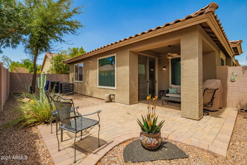 16 South-Facing Backyard