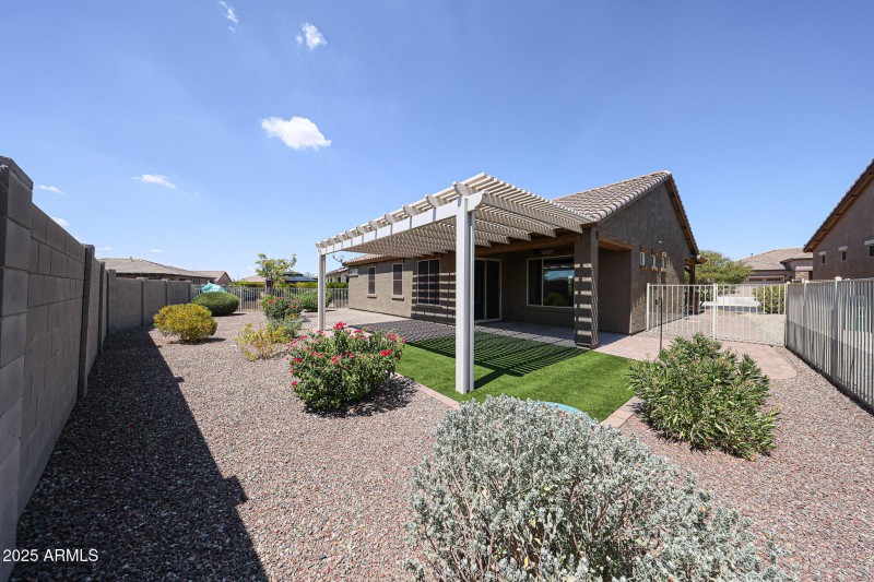 Low Maintenance Yard