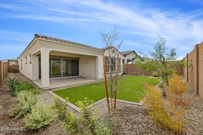 Backyard new landscape