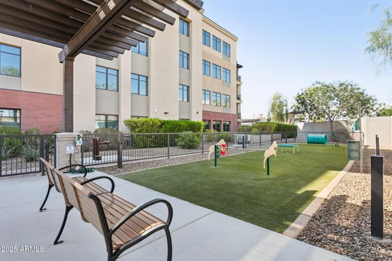 Community Dog Park