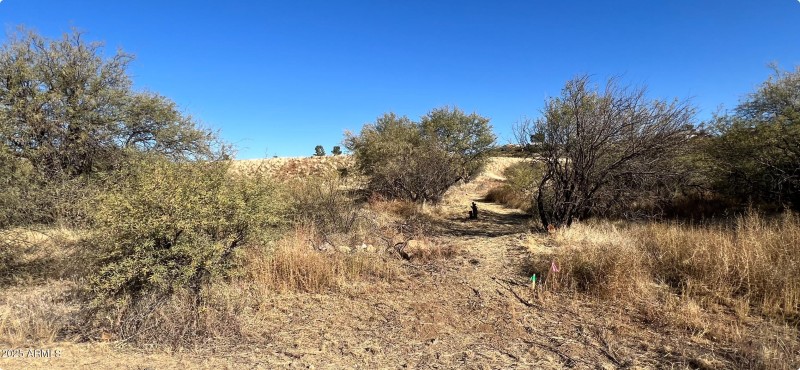 CORDES CIRCLEfront right side2023-11-8