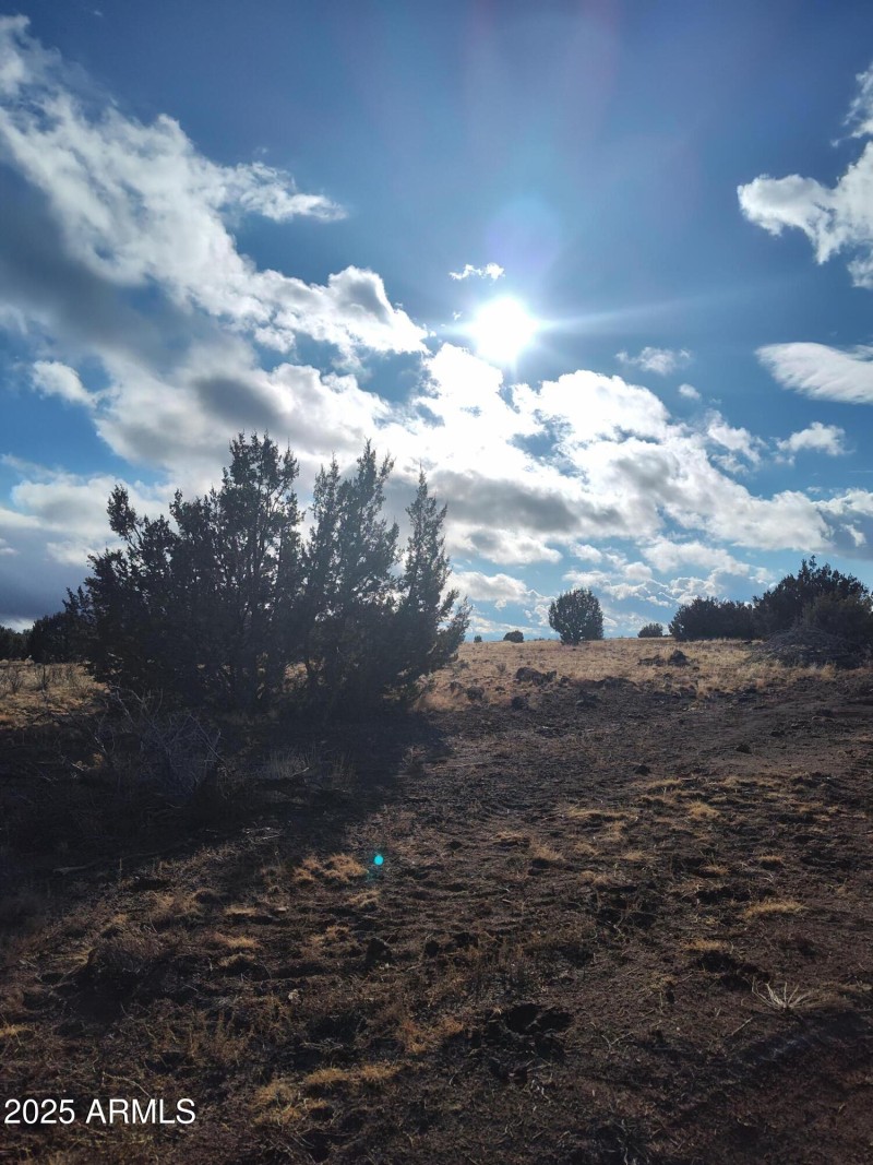 IMG_20240125_154007626_HDR