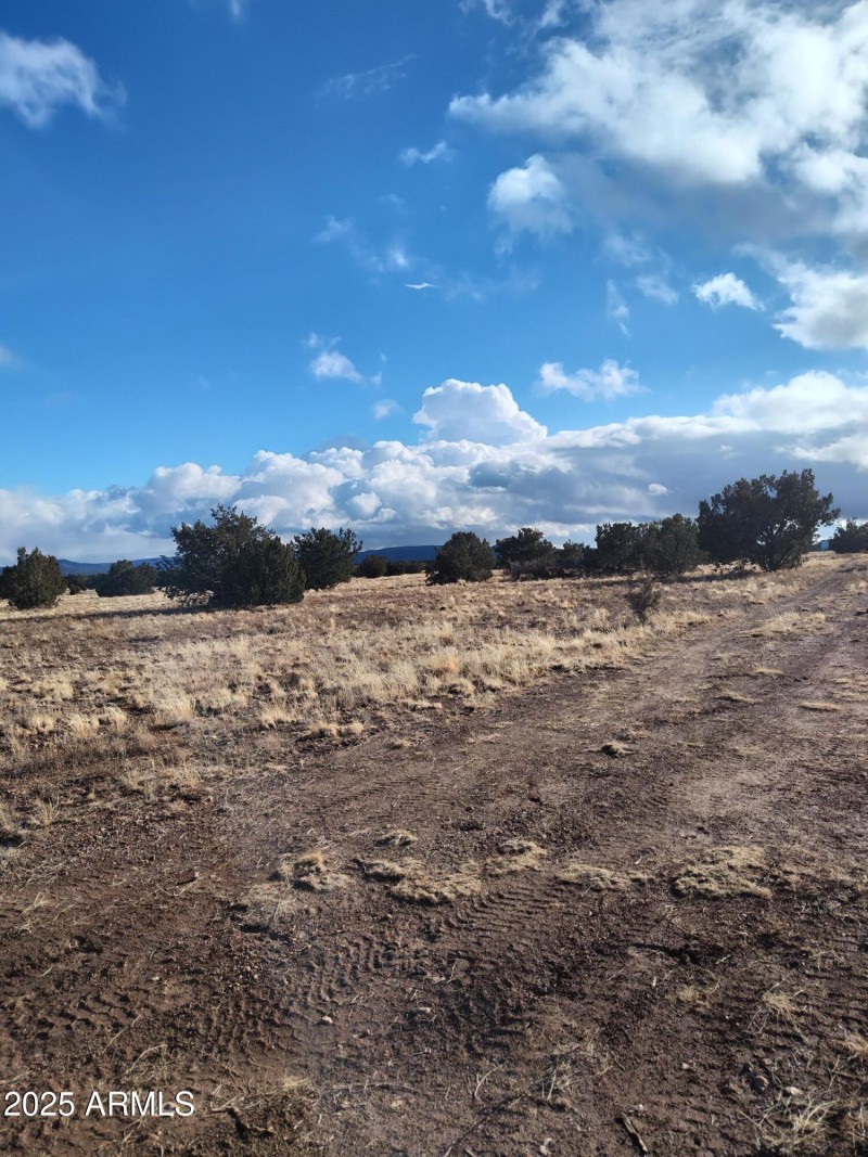 IMG_20240125_154028826_HDR