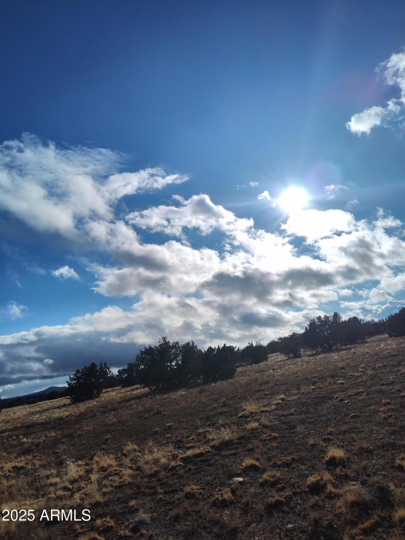 IMG_20240125_154036461_HDR