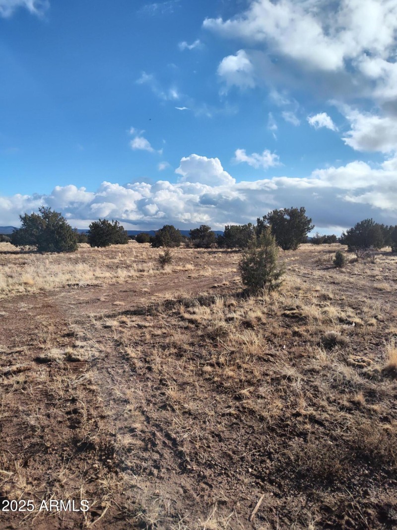 IMG_20240125_154027878_HDR