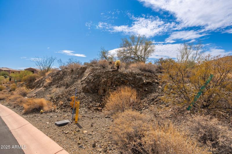 16217 N Desert Fox Pkwy