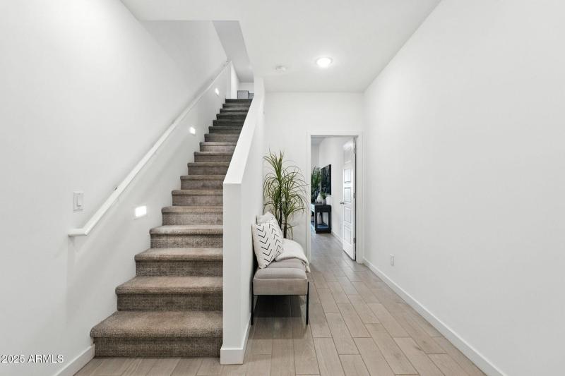 29-web-or-mls-22nd-29