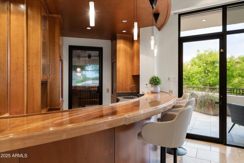 Wet Bar with Walk-In Wine Cellar