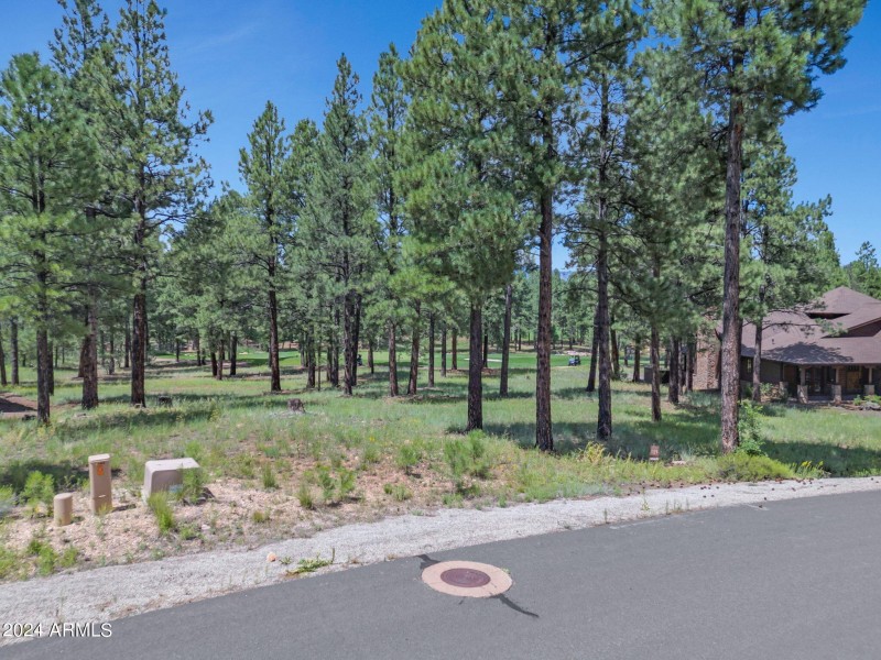 4-web-or-mls-TimberCreekImagery-4 (1)