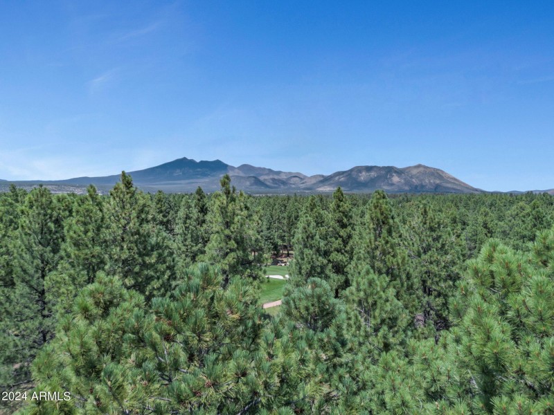 8-web-or-mls-TimberCreekImagery-8 (1)