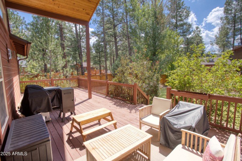 Paxmanphoto_PAX_1458