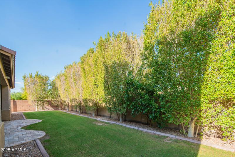 craigrootimaging_snc-112