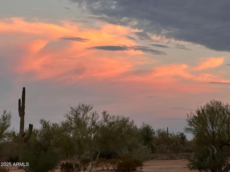 PHOTO-2025-08-16-08-51-32 (2)