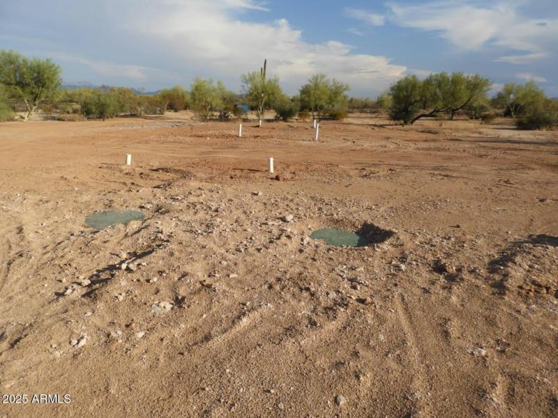 PHOTO-2025-08-16-08-51-34 (3)