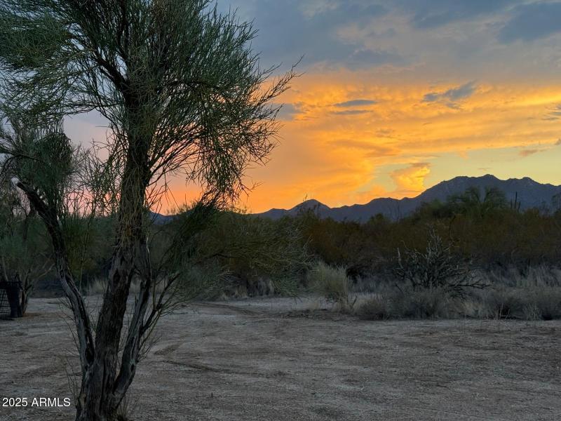 PHOTO-2025-08-16-08-51-36 (3)