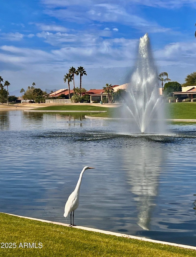 Lake Fountain