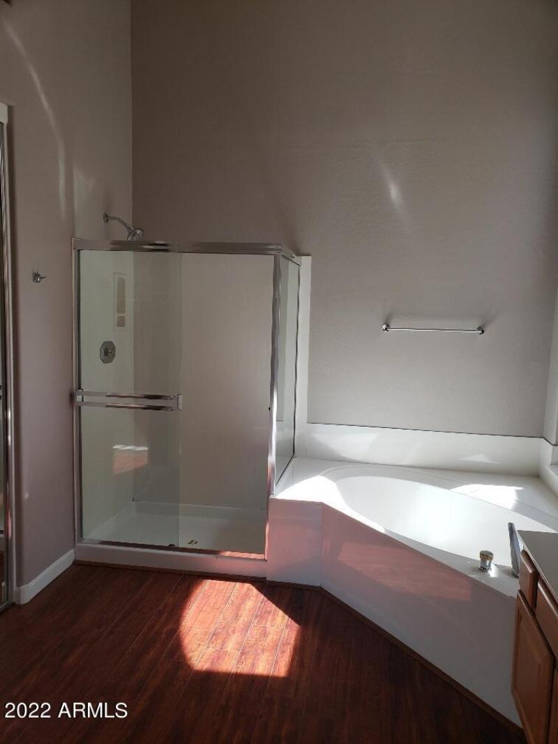 Primary Shower and Tub