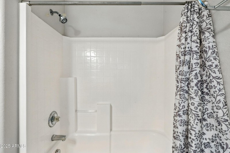 Guest Bath Downstairs