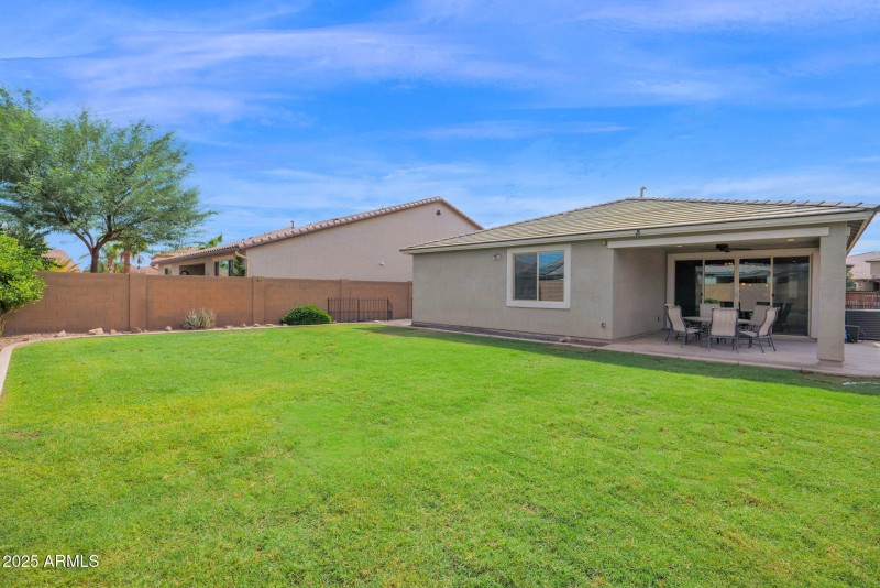 24135 Corn - 34Backyard