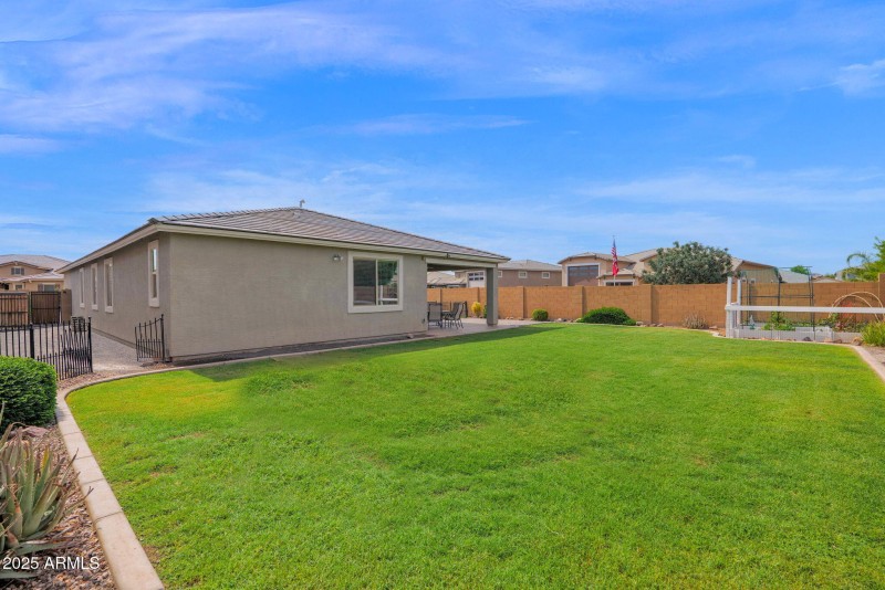 24135 Corn - 35Backyard