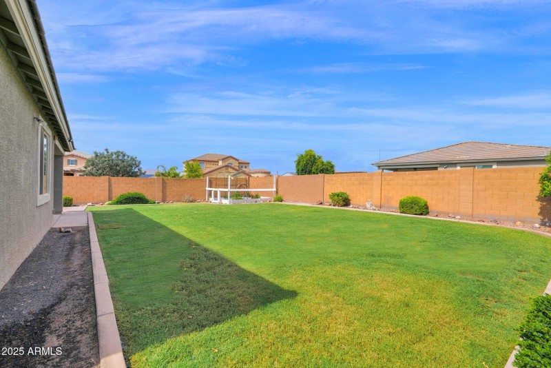 24135 Corn - 36Backyard