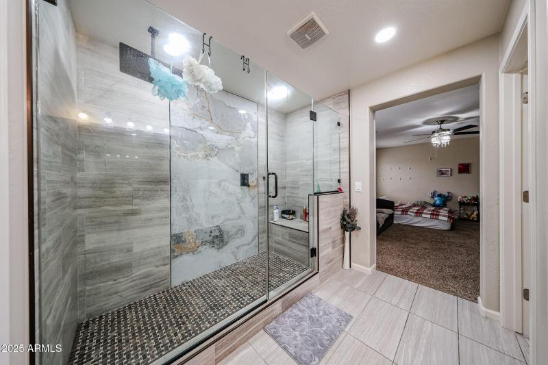 Primary Bathroom III