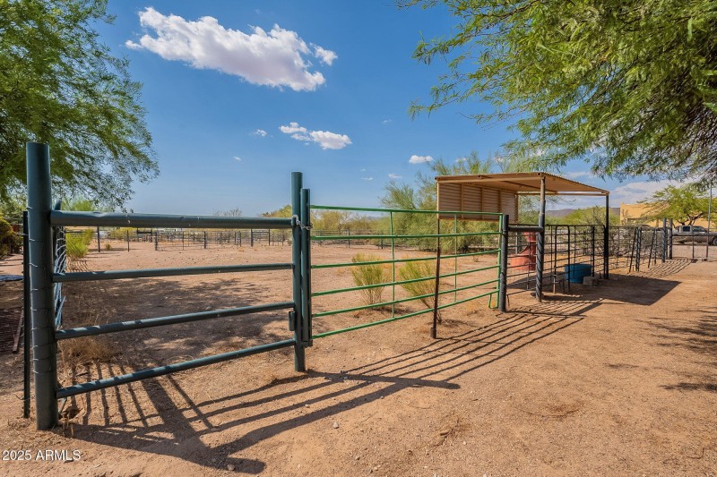 52-web-or-mls-Running-53