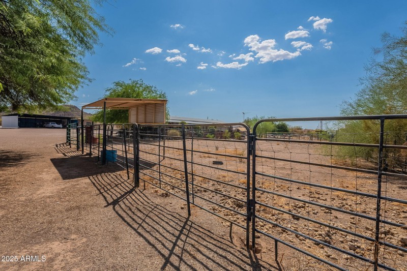 53-web-or-mls-Running-54