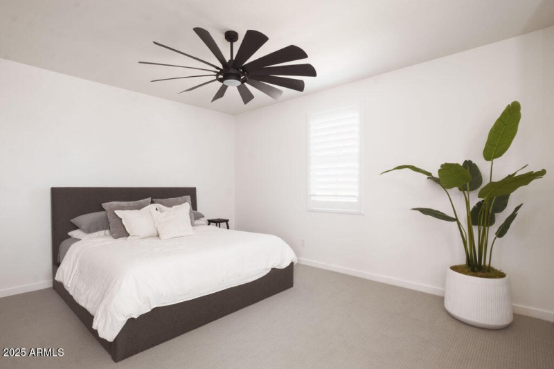 Oversized Primary Bedroom