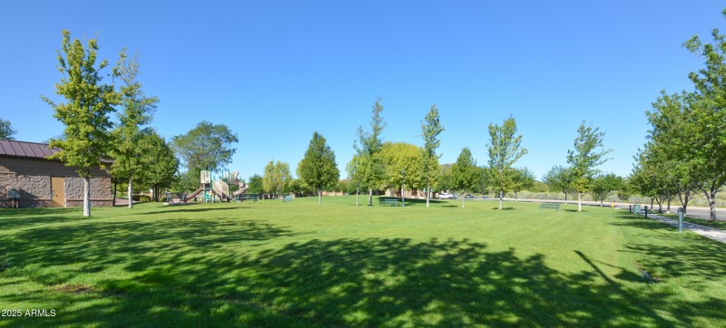 Community Park 2