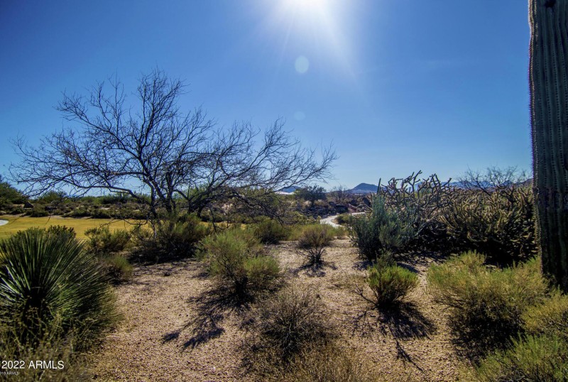 Screen Shot 2022-02-07 at 7.41.17 PM