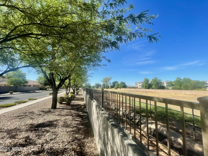 Tree lined streets