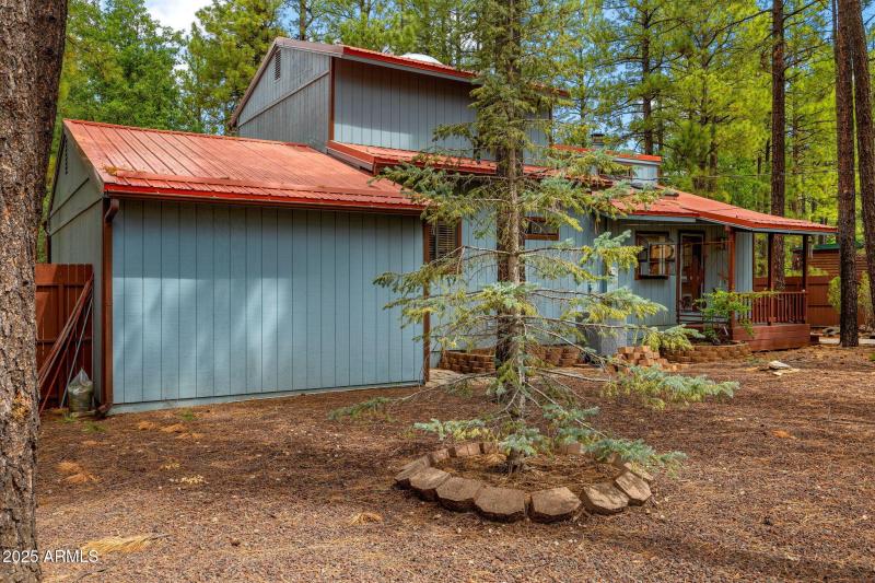 6367ChristmasTreeCir-Pinetop-AZ-26