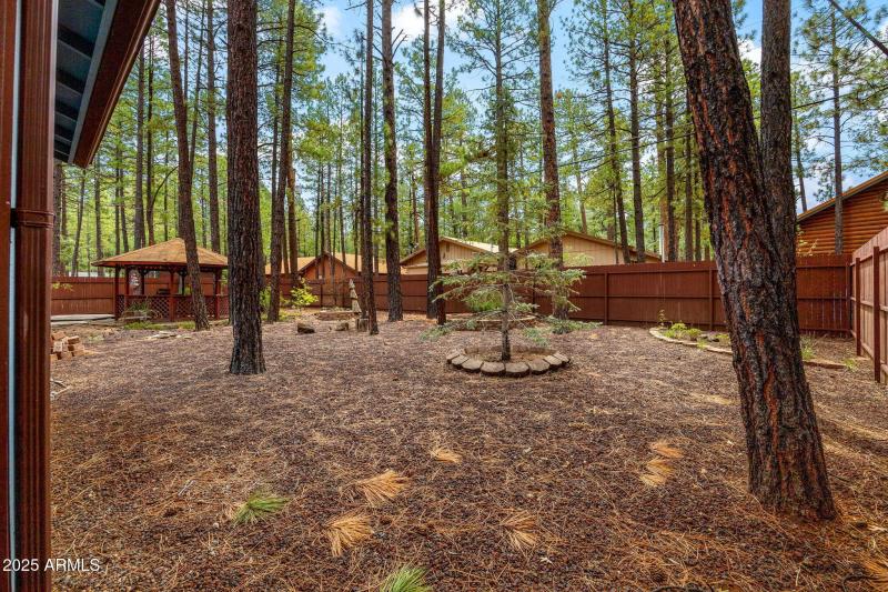6367ChristmasTreeCir-Pinetop-AZ-27