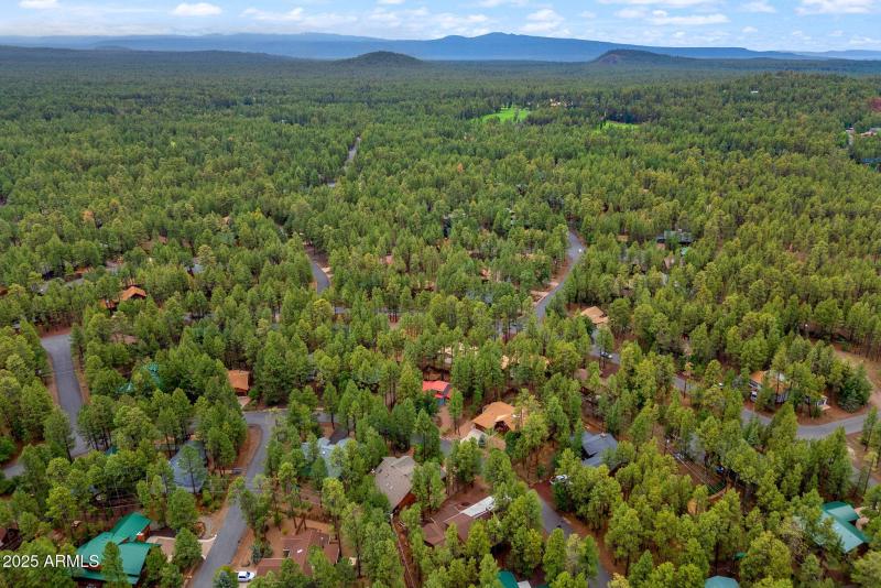 6367ChristmasTreeCir-Pinetop-AZ-31