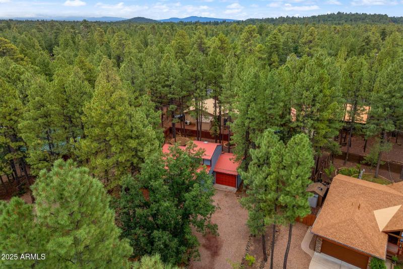 6367ChristmasTreeCir-Pinetop-AZ-32