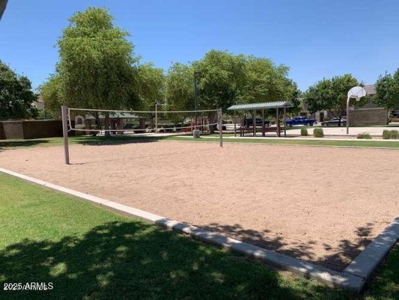 Volleyball Courts