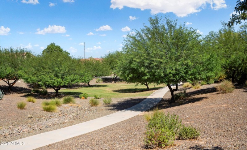 Sun City Festival Journey for sale 1pp