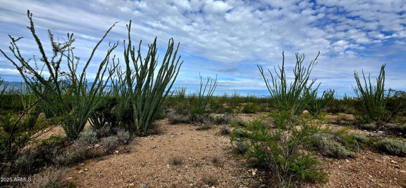 South Lonesome Drive