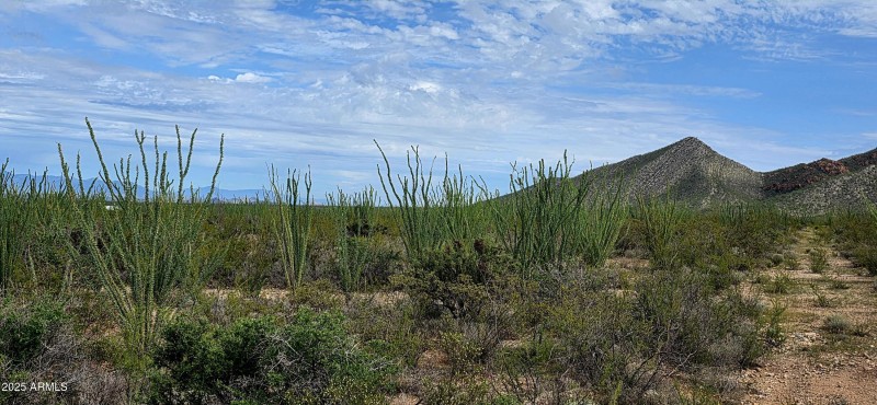 South Lonesome Drive