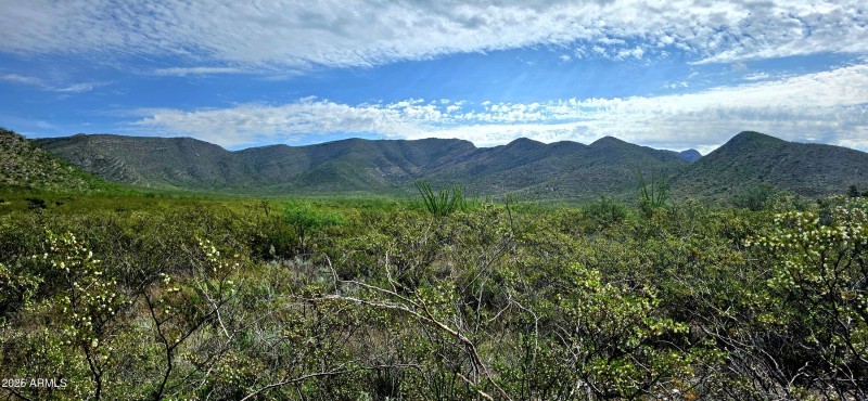 South Lonesome Drive