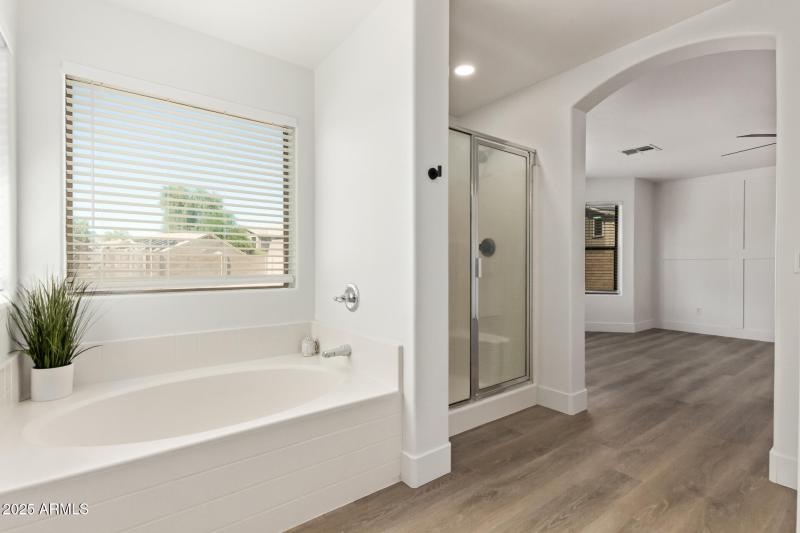 Soaker Tub and Shower