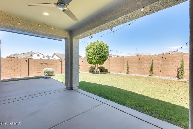 Covered Patio / Backyard