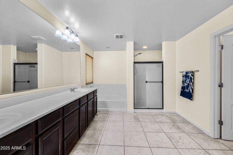 Large primary bathroom