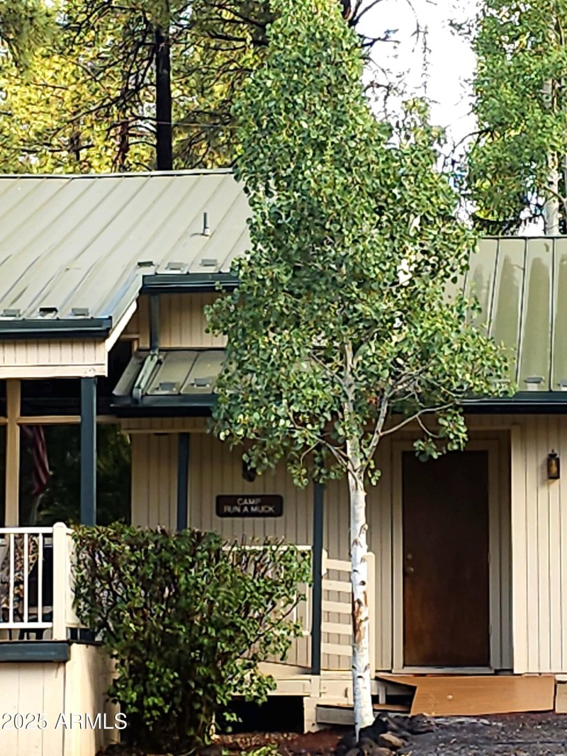 Garage frnt walkin ramp