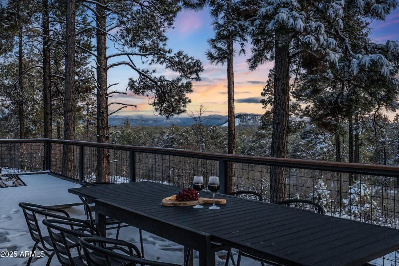 Twilight Views of the Forest