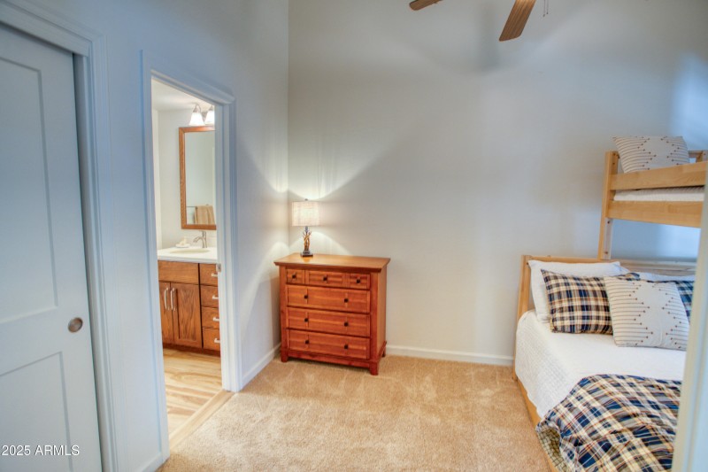 Paxmanphoto_PAX_1062