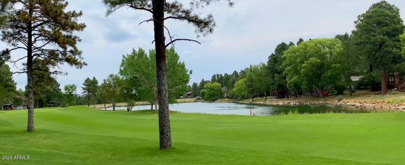 views from back deck