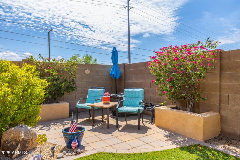 Backyard southeast corner