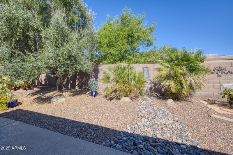 Tranquil Desert Backyard